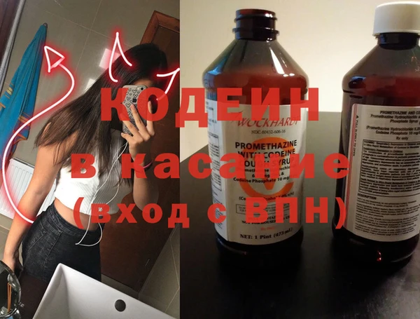 прущие грибы Волоколамск